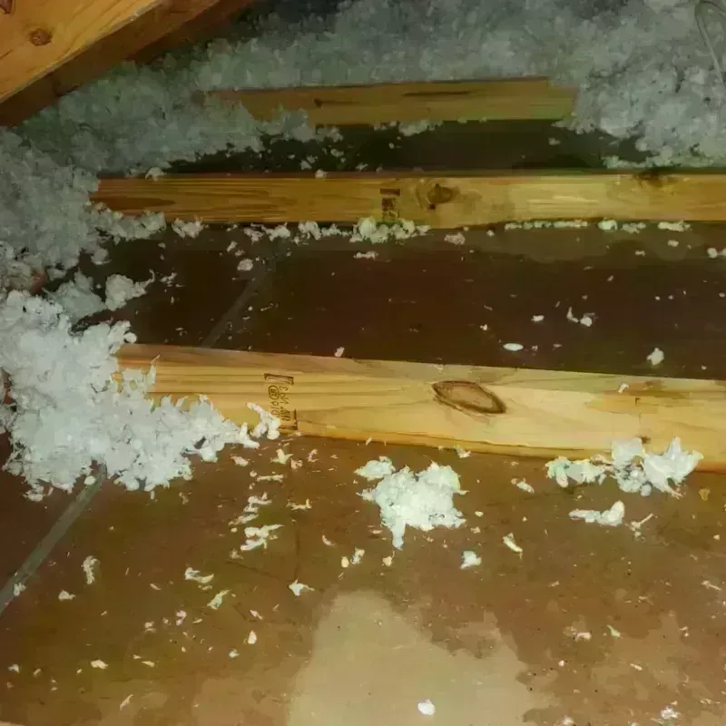 Attic Water Damage in Hopewell, VA